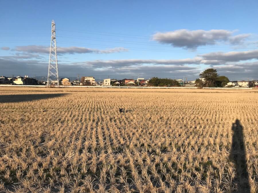 2026年をどう生きるか？